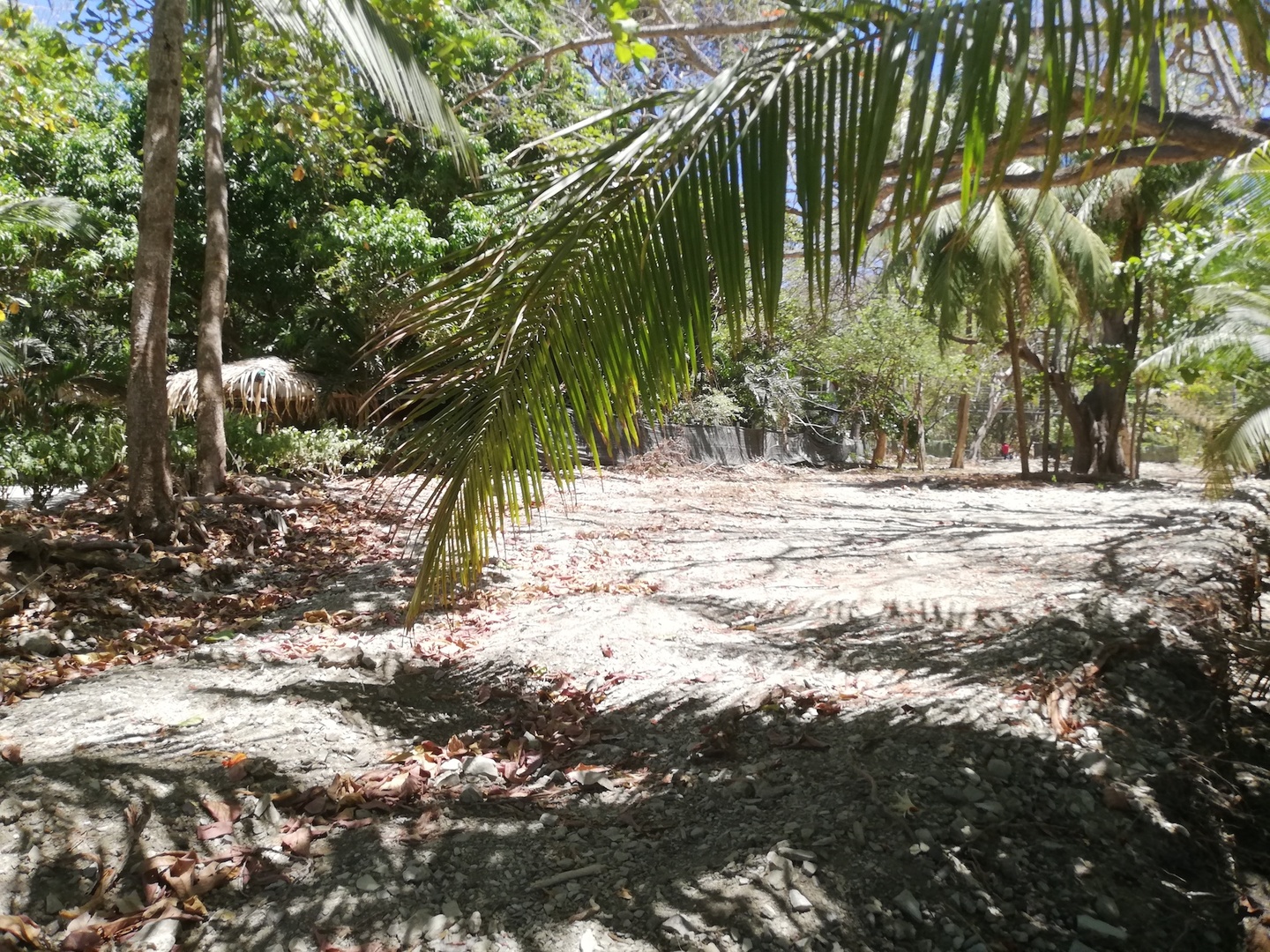 Sold Mal Pais Residential Beachfront Lot, Mal Pais, Santa Teresa