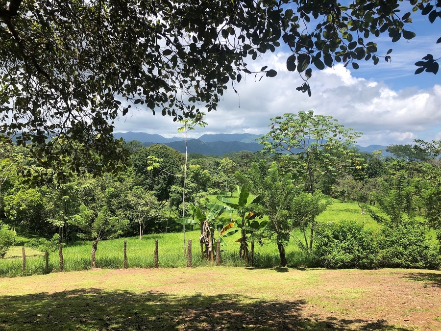 Montezuma Real Estate & Properties For Sale