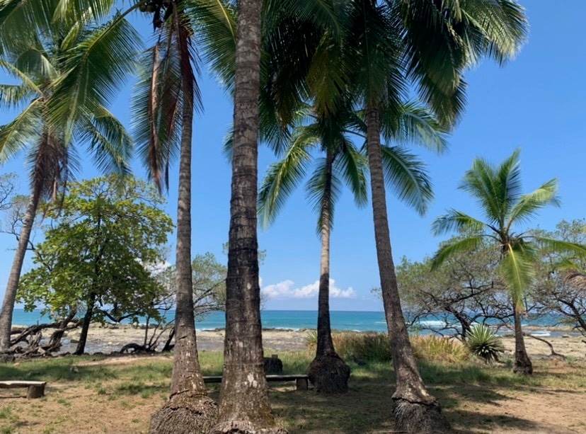 Property photo for Malpais Beachfront Dream Lot, Mal Pais, Santa Teresa, Cobano, Puntarenas, Puntarenas, Costa Rica