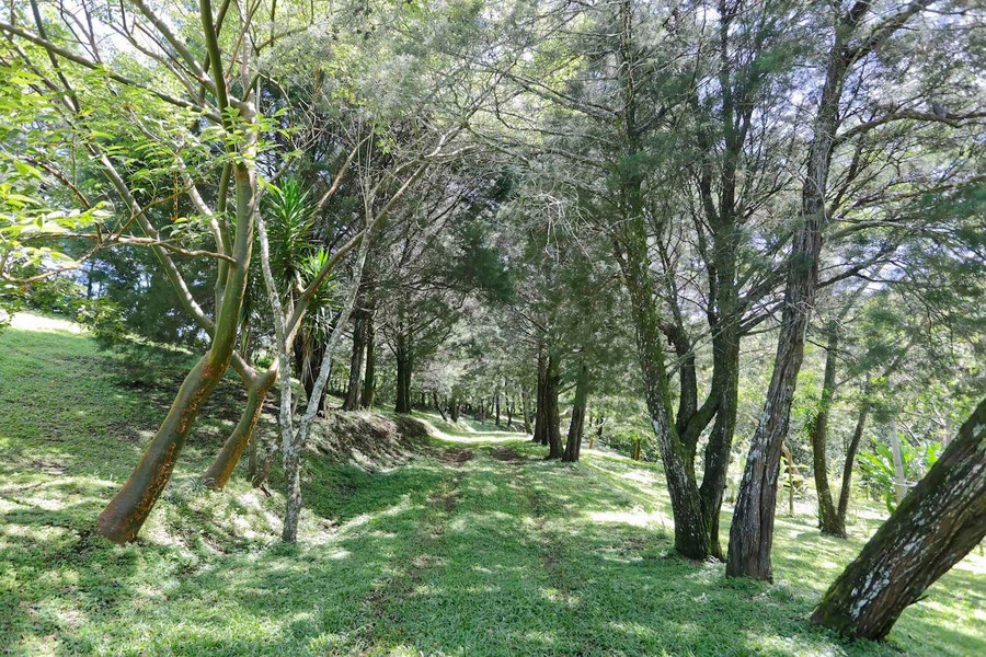 Ciudad Colon Real Estate & Properties For Sale