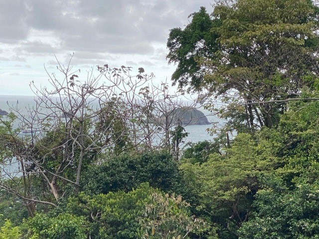 Vista Azul Estate Lot, Manuel Antonio, Manuel Antonio, Quepos, Quepos ...