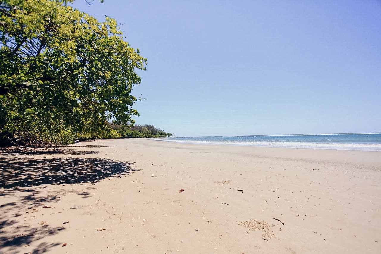 Manzanillo Opportunity Two Side By Side Beachfront Hotel Concessions ...