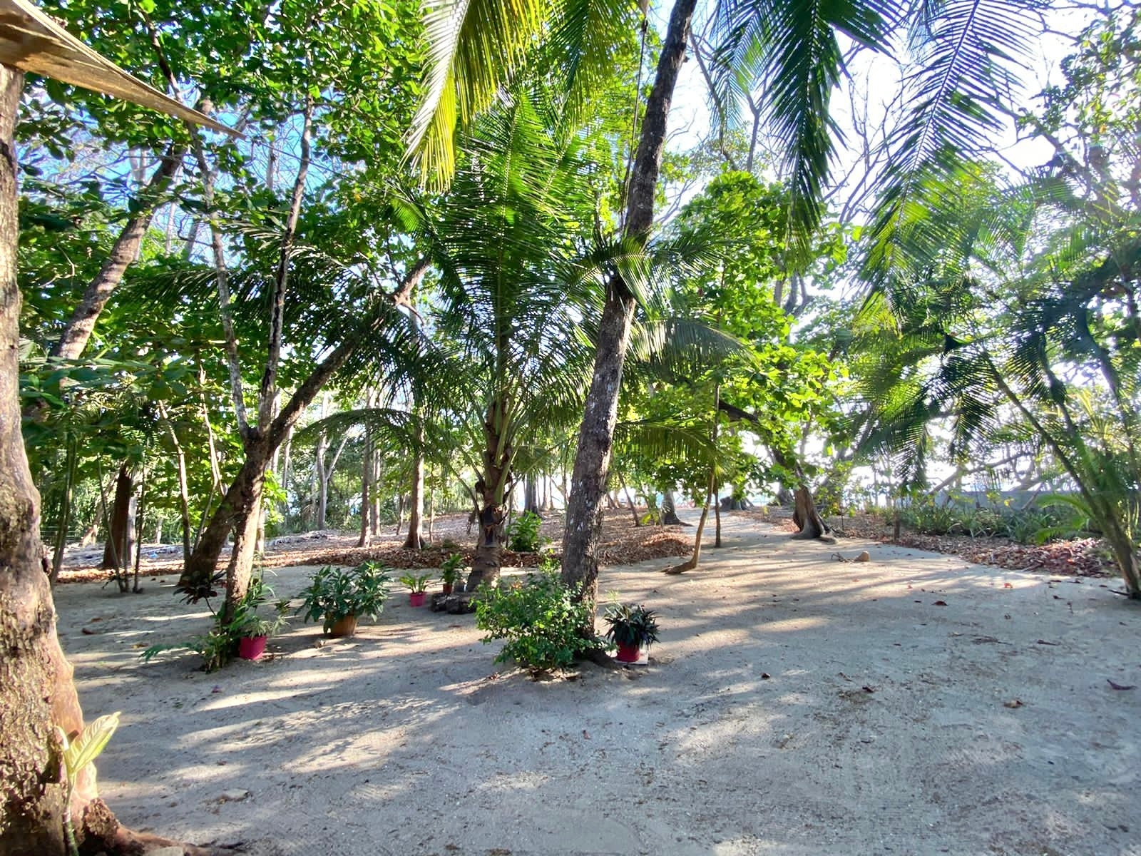 Beachfront And Commercial Property In North Santa Teresa, Santa Teresa