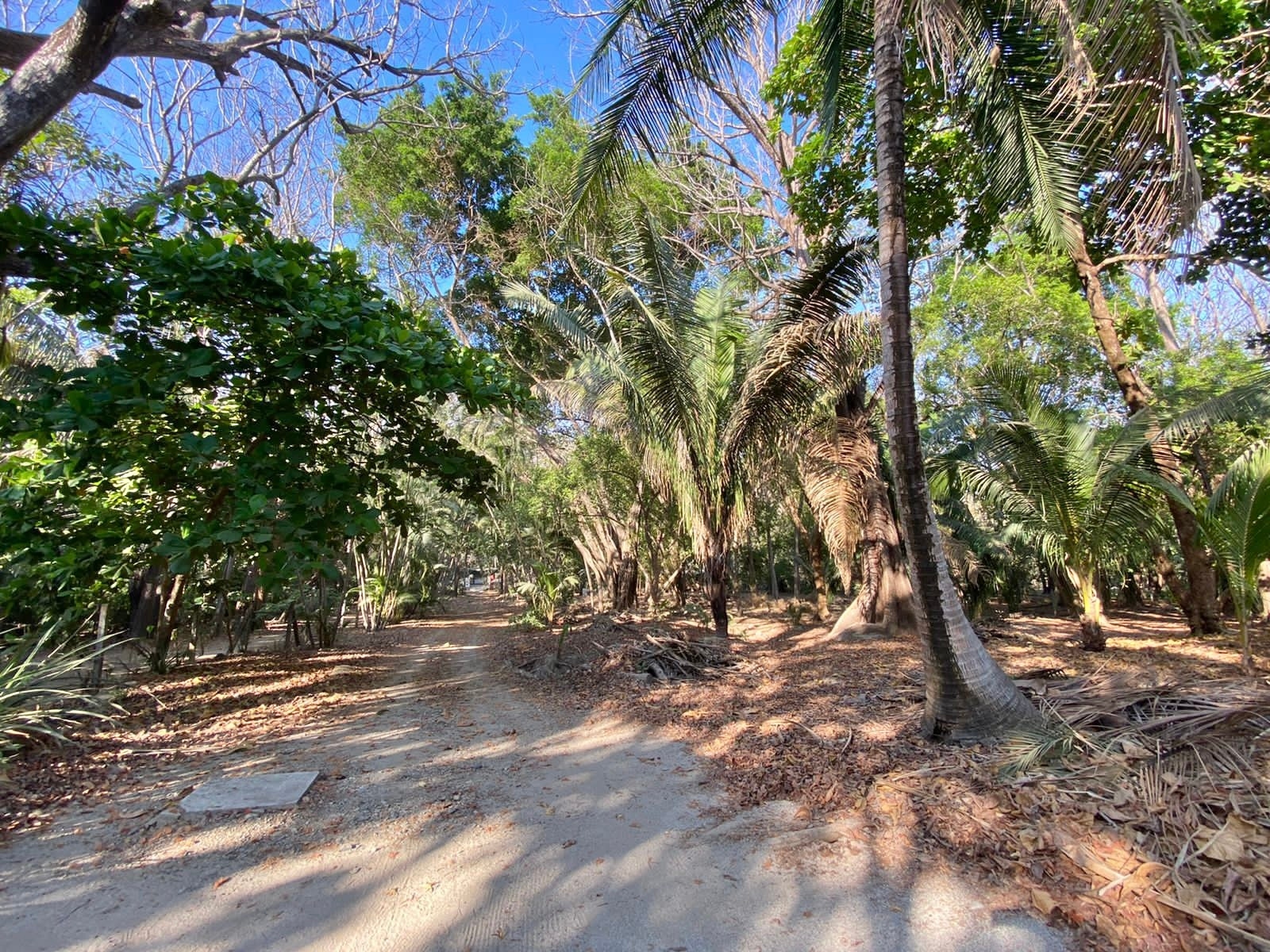 For Sale Beachfront And Commercial Property In North Santa Teresa