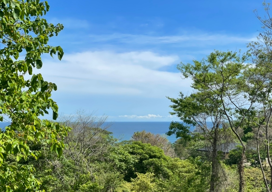 Playa Hermosa Properties For Sale