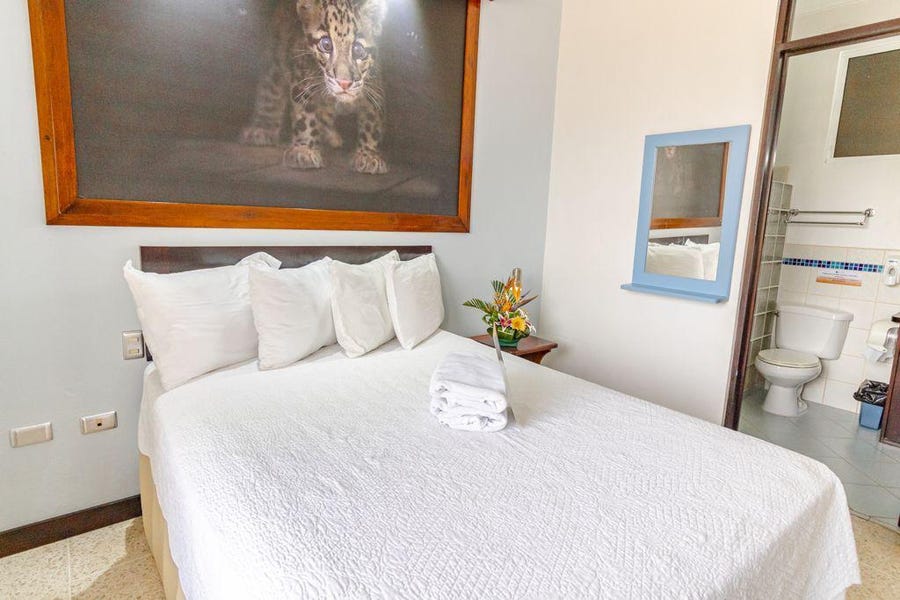 Manuel Antonio Hotels For Sale Manuel Antonio Properties