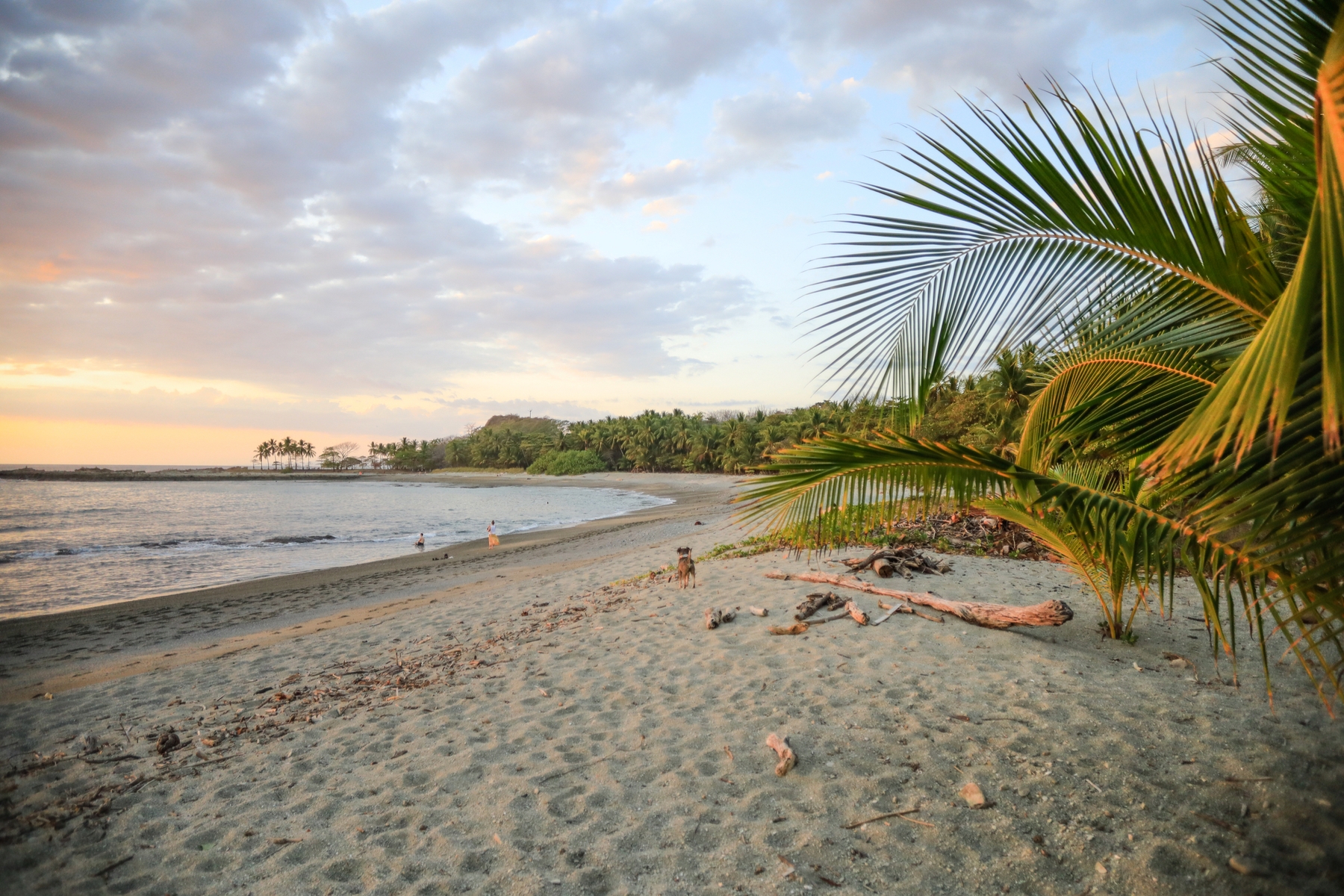 Beautiful Malpais Beachfront Lots, Mal Pais, Santa Teresa, Cobano ...