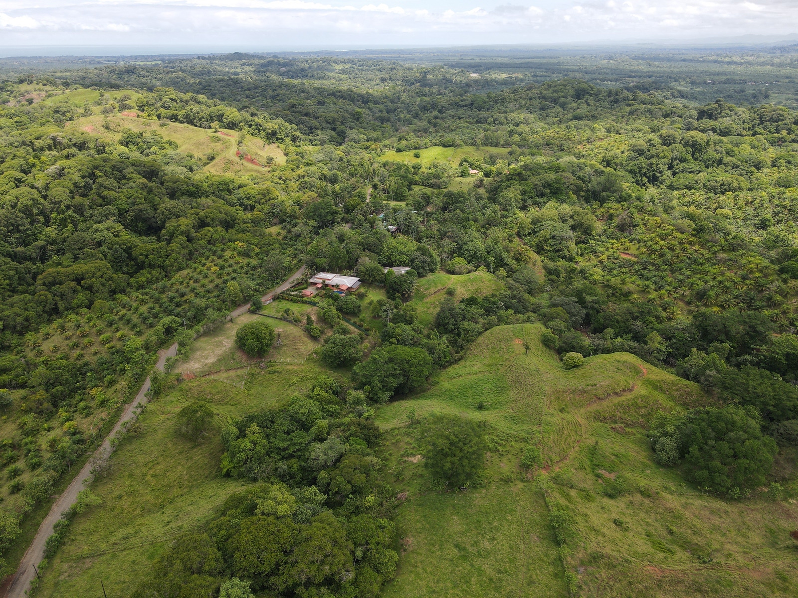 For Sale Beautiful Naranjito Lot With Views Views Of The Rainforest