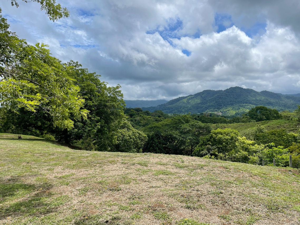 For Sale: Beautiful Naranjito Lot With Views Views Of The Rainforest ...