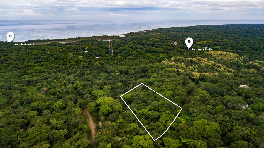 Playa Avellanas, Guanacaste Playa Avellanas Real Estate