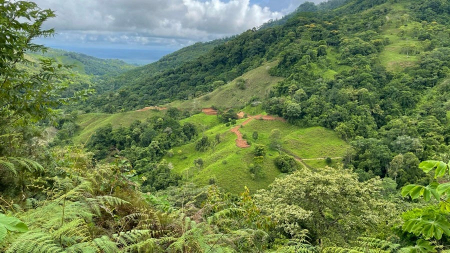 Costa Rica Farms for Sale Find Your Dream Farm in the Tropical Paradise