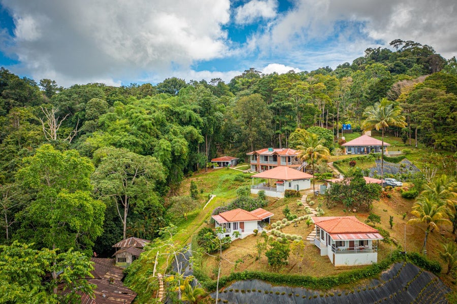 Tinamaste Properties for Sale