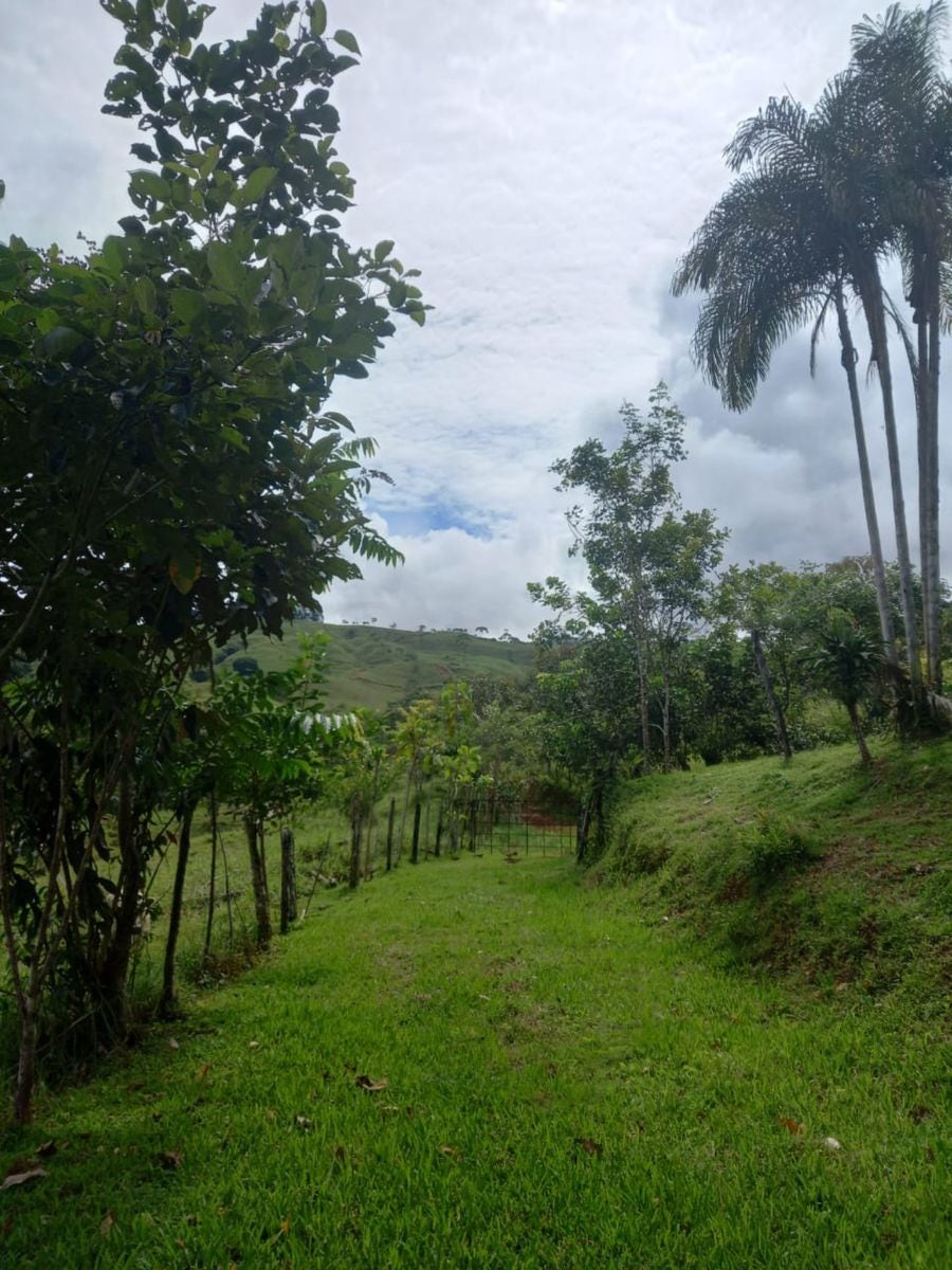 For Sale 46 Hectares With Ocean Views In Platanillo, Platanillo