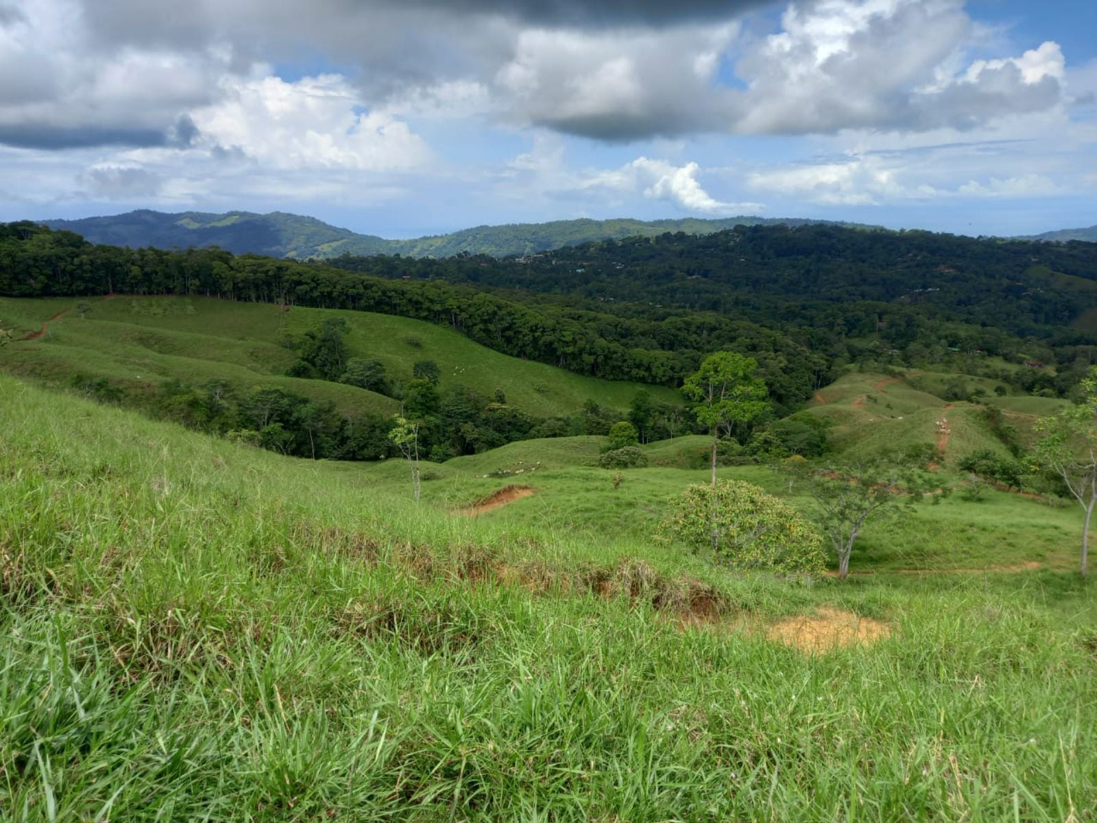 For Sale 46 Hectares With Ocean Views In Platanillo, Platanillo