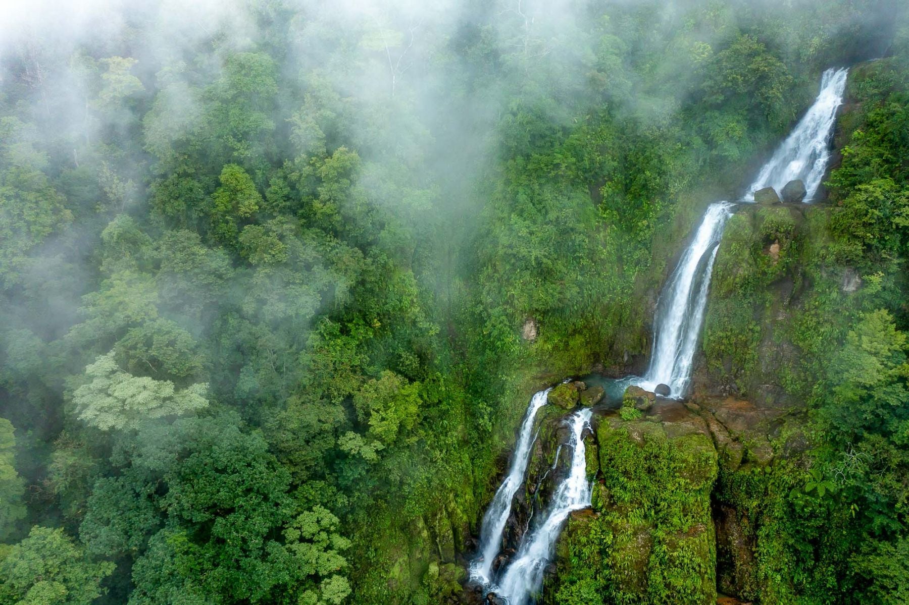 Nettilby Lavapavimenti super concentrato Waterfall