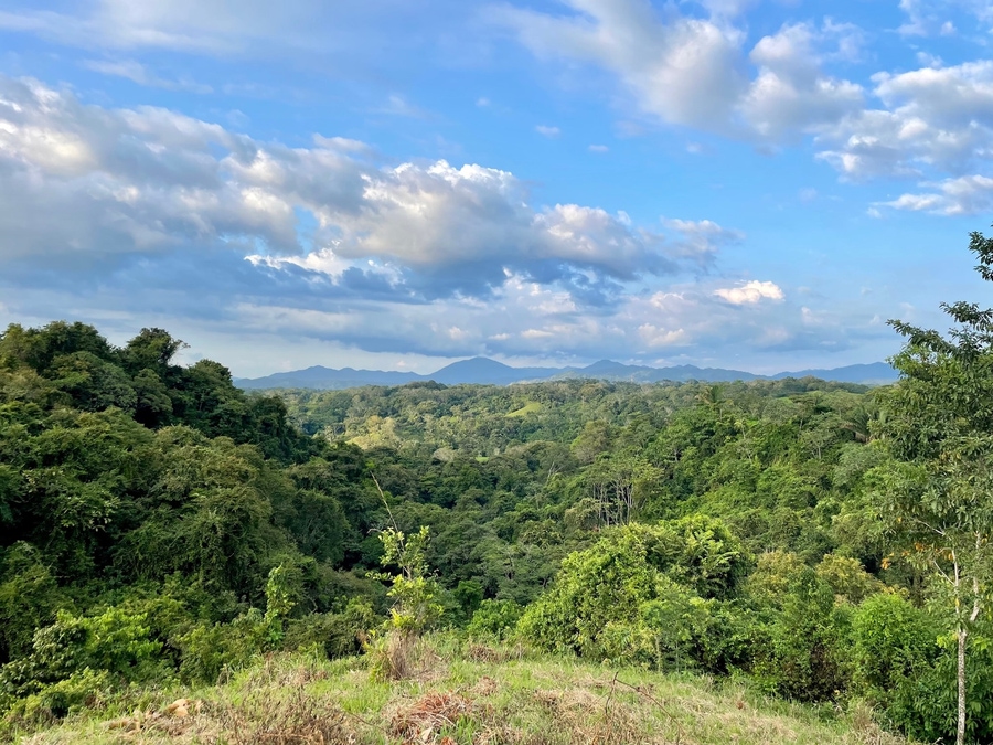 Playa Hermosa Properties For Sale