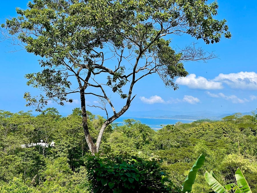 Manzanillo Real Estate & Properties For Sale