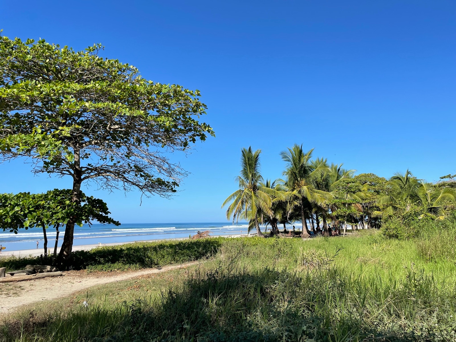 For Sale Playa Carmen Beachfront Home And Commercial Concession, Santa