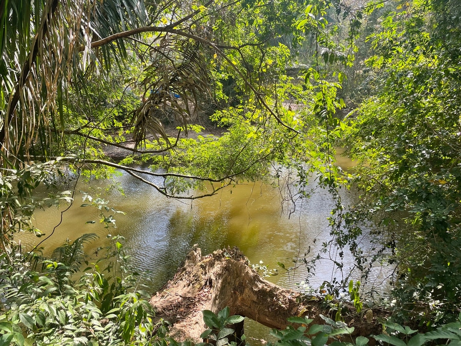 Manzanillo Real Estate & Properties For Sale