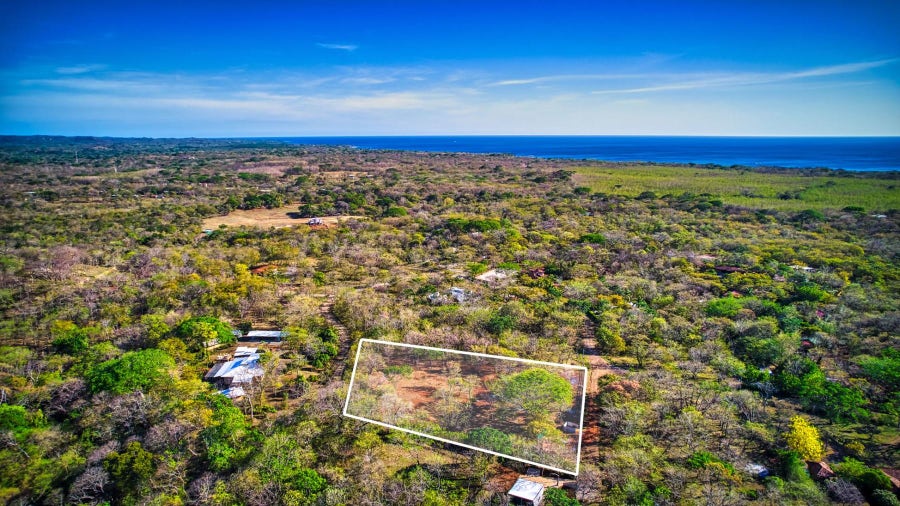 Tamarindo Real Estate & Properties For Sale