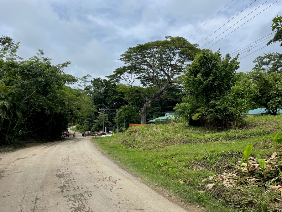 Manzanillo Real Estate & Properties For Sale