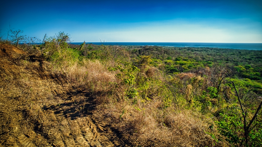 Playa Avellanas, Guanacaste Playa Avellanas Real Estate