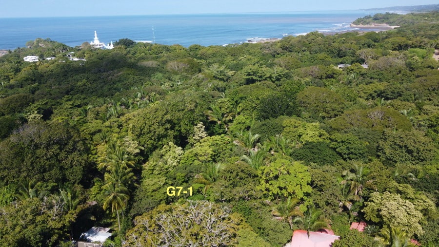 Property photo for Elite Piece of Land Steps from the Beach, Nosara, Nicoya, Guanacaste, Costa Rica