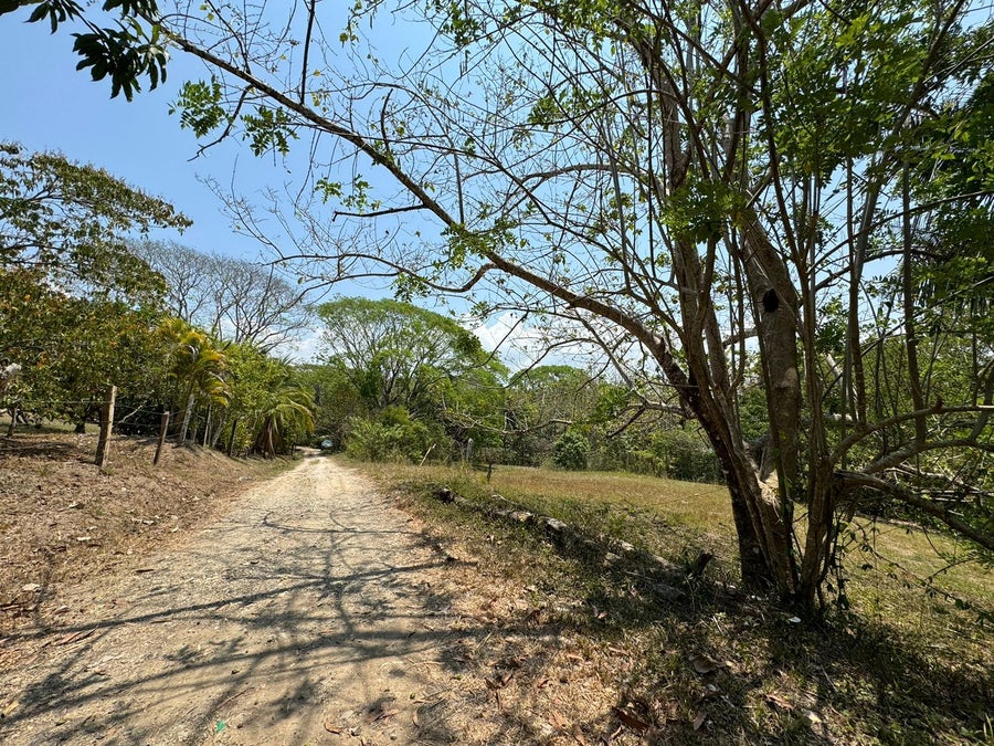 Manzanillo Properties For Sale